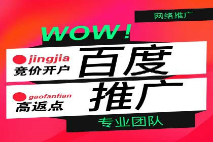 SEM竞价广告投放的五大成功案例分享